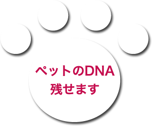 ペットのDNA残せます
