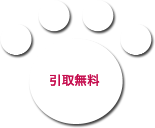 引取無料
