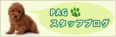 PAGスタッフブログ