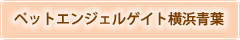 PAG横浜青葉